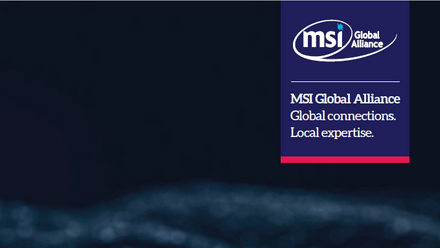 MSI Corporate Brochure Cover.png