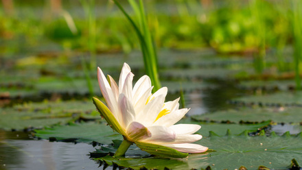 AdobeStock_355663403.jpeg
