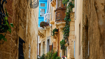 DBI Malta.jpg
